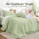 JOLLYVOGUE Sage Green Twin Size Comforter Set, 2 Pieces Seersucker Lightweight Fluffy Bedding Set, Twin Ruffle Comforter, All Season Soft Microfiber Shabby Chic Bed Set