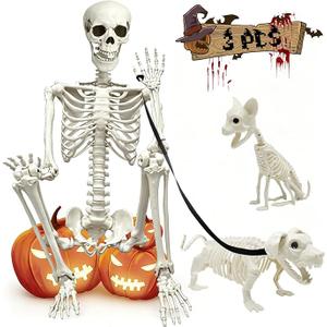 5.4Ft Posable Halloween Skeleton with Dog Cat Skeleton for Halloween Decor Full Body Life Size Human Bones with Movable Joints, Size: 65IN