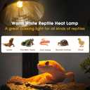 Briignite Reptile Heat Lamp 50W G9 Halogen Heat Bulb & Dome Reptile Light Fixture, Aluminum Reflector, UVA Basking Light for Reptiles, Dimmable Heat Lamp for Chicken Turtle Snake Gecko Lizard
