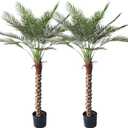 Artificial Palm Tree 5FT Large Fake Sago Palm Plant with 18 Trunks Perfect Tall Faux Tree in Pot for Indoor Outdoor House Home Office Garden Modern Decor Housewarming Gift (2Pack)