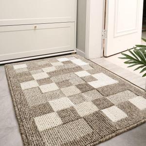 TOMEX Door Mat Indoor Outdoor Doormat, 2023 Upgraded Non-Slip Floor Mat, Welcome Mat for Home, Garden, Garage20 x 32 /50 x 80cm, Leo Style