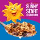 Kellogg's Raisin Bran Crunch Breakfast Cereal, Good Source of Fiber, Giant Size, 24.5 oz (EXP 02/07/27)