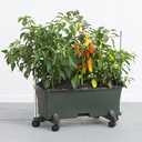 EarthBox 81031.06 System, Green, 3 ft. Garden Stakes, 3-Foot
