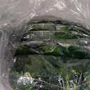 450 Feet 60 Pack Fake Greenery Hanging Garland, Artificial Ivy Leaf Plants, Vine Leaves, Flowers Foliage for Bedroom Garden Wall Decor