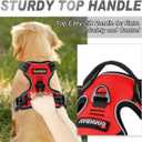BARKBAY No Pull Dog Harness Front Clip Heavy Duty Reflective Easy Control Handle for Large Dog Walking(Red,M)