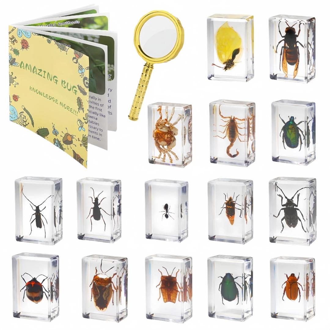 15 Insect specimens,Real Specimens of Various Butterflies and Beetles Made of Resin, Used for Science Classroom Science Education Animal Specimens, Bug Preserved,Oddities, Biology (15 Pcs Beetles)