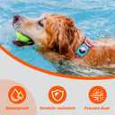 Waterproof AirTag Dog Collar Holder for Apple AirTag QR Code (Medium, Blue-M1)