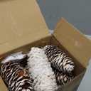 JOHOUSE 18PCS Snow Pinecone Ornaments, Large Spruce Pinecones Hanging Pinecones for Decorating Natural Pine Cones for Christmas Tree Hanging Decoration, Winter Vase Filler