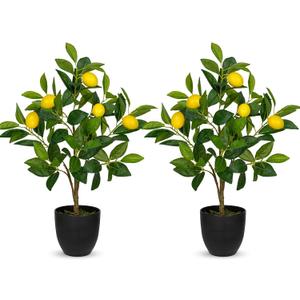 2Ft Artificial Lemon Trees, 2 Packs Large Artificial Plants Indoor with Black Pots Faux Potted Citrus Trees Fake Floor Plants Lemon Decorations for Home Living Room Office, Bedroom Table, Desk
