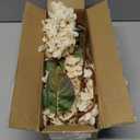 Fake Flowers Hydrangea Silk Flowers With Stems White Flowers Fake Flowers In Vase Hydrangea Artificial Flowers Winter Flowers Artificial For Decoration Vase Decor 24"Cream Color8PCS Wthout Vase