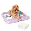 Pawise Dog Pee Pad Holder for Puppy, Puppy Pad Holder Tray, Pet Training Pee Pad, Indoor Potty Tray for Senior Dogs, Dog Toilet for Newborn Puppies, 23.5" x 23.5"，Purple