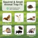 HOMESTEAD Heavy Duty Live Trap - Professional Style One-Door Live Animal Traps for Rabbit, Squirrel, Possum, Skunk, Kitten, Mink Small