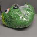 Adult Raccoon Lizard Crow Onesie Pajamas Halloween Christmas Cosplay Costume Women Men (Large)