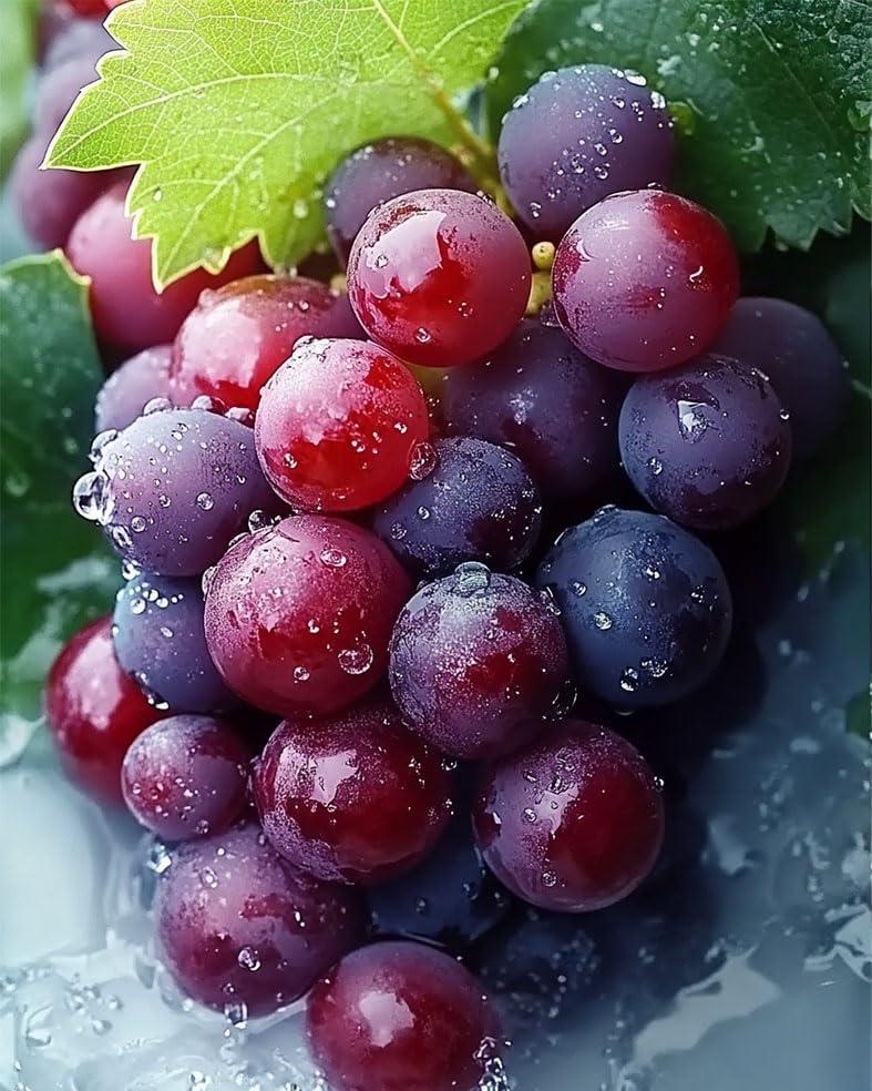 MSTINGSHUN Grapes in The Water Oil Painting by Numbers Fresh Grapes Paint by Number Kits 16 x 20 inch Canvas Unique Home Decor DIY Paintwork Kits for Adults Beginners(Without Frame)