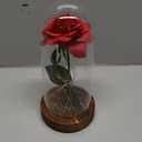 SW Preserved Rose Enchanted Rose Red Silk Rose in Glass Dome with LED Lights Pine Base, Romantic Home Decor Gifts for Mom Women Valentines Day Christmas Mothers Day Wedding Anniversary Birthday