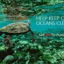 Reusable Stainless Steel Straw Set of 4 - Shorter Lengths (6.5" and 7.5") for Cocktails and Beverages. Travel Case and Cleaning Brush - Perfect for On The Go or Entertaining at Home (Purple Haze)