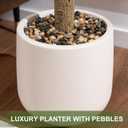 6FT Olive Trees Artificial, Large Faux Olive Tree with White Tall Planter, Faux Tree Indoor with Lush Lifelike Fruits for Living Room Bedroom Balcony Corner Office Home Decor