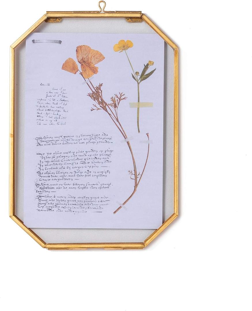 NCYP Small 5 x 7 inch Floating Glass Frame with Chain for Picture, Photo, Pressed Dried Flowers, Plant Specimen - Vintage Octagon Home Gallery Wall Mounted Decor, Gold (Glass Frame Only)