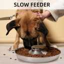 Stainless Steel Puppy Bowls, Set of 2 Puppy Feeder, Dog Food and Water Bowl, Food Feeding Weaning for Small Medium Large Dogs, Pets, M