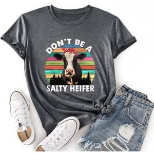 Noffish Women Don't Be A Salty Heifer T-Shirt Loose Popular Short Sleeve Funny Cow Shirt (Grey, 2XL)