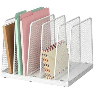 LEKETREE Small Desk File Organizer, 5-Section Upright File Sorter, Vertical File Folder Holder, Mesh Metal Wood Office Desktop Organization for Document, Magazine, Books and more (White)