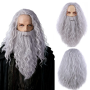 MAGQOO Mens Wig and Beard Long Curly Grey Wig for Boys Cosplay Halloween Costume Wig