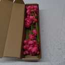 Letjolt Ranunculus Artificial Flower ROSEO Pink Silk Flowers Faux DIY Bouquet for Wedding Engagement Centerpieces Arrangements Bridal Shower Decorations Home Decor 18pcs