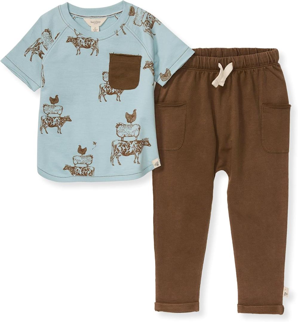 Burt's Bees Baby Baby Baby Boys' Shirt and Pant Set, Top & Bottom Outfit Bundle (2T)