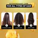 LOral Paris Extraordinary Oil Hair Serum with Floral Oils | Suitable for All Hair Types | Lightweight Hair Serum | 3.38 fl oz (100 mL)