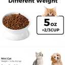 LoeJan Elevated Cat Food Bowl, 5 Oz Ceramic Raised and Tilted Water Bowl, Anti Vomiting and Protect Pets' Spines Dishes for Small Dog, Fat Faced Cat, Kitten (White, 2 Pack)