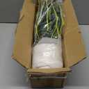 Hollyone Artificial Snake Plant Potted Faux Sansevieria Trifasciata Plants, 16.5" Tropical Fake Snake Plants in White Pots for Home Office Room Indoor Decor Housewarming Gifts