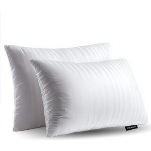 Beautyrest Luxury Goose Feathers Soft Pillows, 500 Thread Count Cover 20x28, Queen (Pack of 2), Supportive Fluffy Hotel Collection Bed Pillows for Side and Back Sleepers