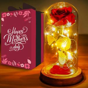 Norcalway Premium Rose in Glass Dome with 6hr Timer - Birthday Gifts for Women, Mom from Daughter, Son, Kids - Beauty and The Beast Rose in a Glass Dome for Decorations