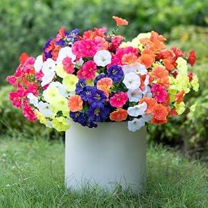 BLISOUL Spring Summer Mix Color Artificial Morning Glory, 12 Bundles Artificial Flowers for Outdoors Decorations UV Resistant Realistic Silk Flowers for Patio Home Decor Garden Planter Window Box Yard