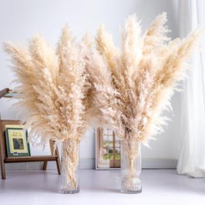 Tall Pampas Grass 20PCS Boho Decor Natural Home Decor Phragmites Dried Flowers Bouquet for Wedding Floral Arrangements Home Decorations (20PCS Tall Pampas Grass)