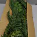 Somikis 6FT Christmas Garland Real Touch Norfolk Pine & Cedar Garland, Artificial Realistic Greenery Garland for Mantle Table Stair Railing Indoor Outdoor Christmas Decorations