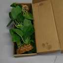 Silk Aquarium Plants (2-Pack) 9.8 Inch Artificial Plastic Fish Fish Habitat Decor, Small to Moderate Size Aquarium Decorations, Safe Green Plants for Freshwater Tanks