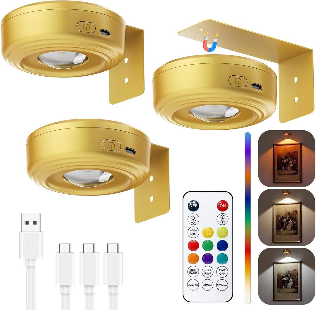 Skairipa Picture Lights for Wall, 2000mAh Rechargeable Magnetic Poster Lights with Remote, 3 Color Temps & RGB Dimmable Timer, Wall Decor Light for Art Display, Frame (3 Pack) (Gold)