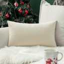 MIULEE Velvet Pillow Cover Soft Luxury Decorative Throw Pillow Cover Single Rectangle Cushion Case for Couch Sofa Bedroom Car Decor,14x20 Inch Cream White