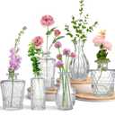 Glass Mini Vases, 5 Inch Height, Set of 4, Transparent Bottle Shape, for Home and Flowers (6)