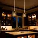 ALUCSET Pendant Lights Kitchen Island 2 Pack with Plug in Cord Pendant Lamp Shade Adjustable Hanging Pendant for Kitchen Island,Dining Room and Living Room