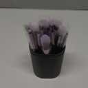 BS-MALL Makeup Brushes Premium Synthetic Foundation Powder Concealers Eye Shadows 14 Pcs Purple for Makeup Beginner or Professional with Travel Case