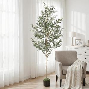 Olive Trees Artificial Indoor, 6FT Tall Faux Olive Tree with Black Pot, Moss, Lifelike Wood Trunk and Fruits,Suitable for for Modern Home Office House Living Room Decor
