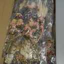 Layhit 24 Pcs Boho Dried Flower Bouquet Mini Wedding Handmade Dry Flowers Decor for Vase Crafts DIY Photo Boutonniere for Men Floral Plant for Bridesmaid Gift Birthday Decor (Lavender)