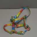 Weaver Equine Nylon Horse Halter, Comfort Double-Ply Webbing, Basic Non Adjustable Halters for Horses, Equine Tack,Average Size, Black (Small, Rainbow)