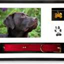 Dog Memorial Frame Shadow Box | Meaningful Pet Memorial Gifts for Dogs | Dog Bereavement Gifts with Unique Tag Slider, Fits All Collars & Hidden Compartment | Black 11x14 in