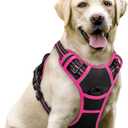 rabbitgoo Dog Harness No Pull with 2 Leash Clips, Adjustable Soft Padded, Reflective Oxford No Choke Pet Vest with Easy Control Handle for Large Dogs, Black & Hot Pink, L