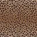 YTRGI Leopard Print Door Mat, Leopard Bath Mat for Bathroom, Cheetah Print Doormat Outdoor Indoor Entrance Entryway Porch, Trendy Leopards Print Decor, Leopards Gifts 17x39 Inch