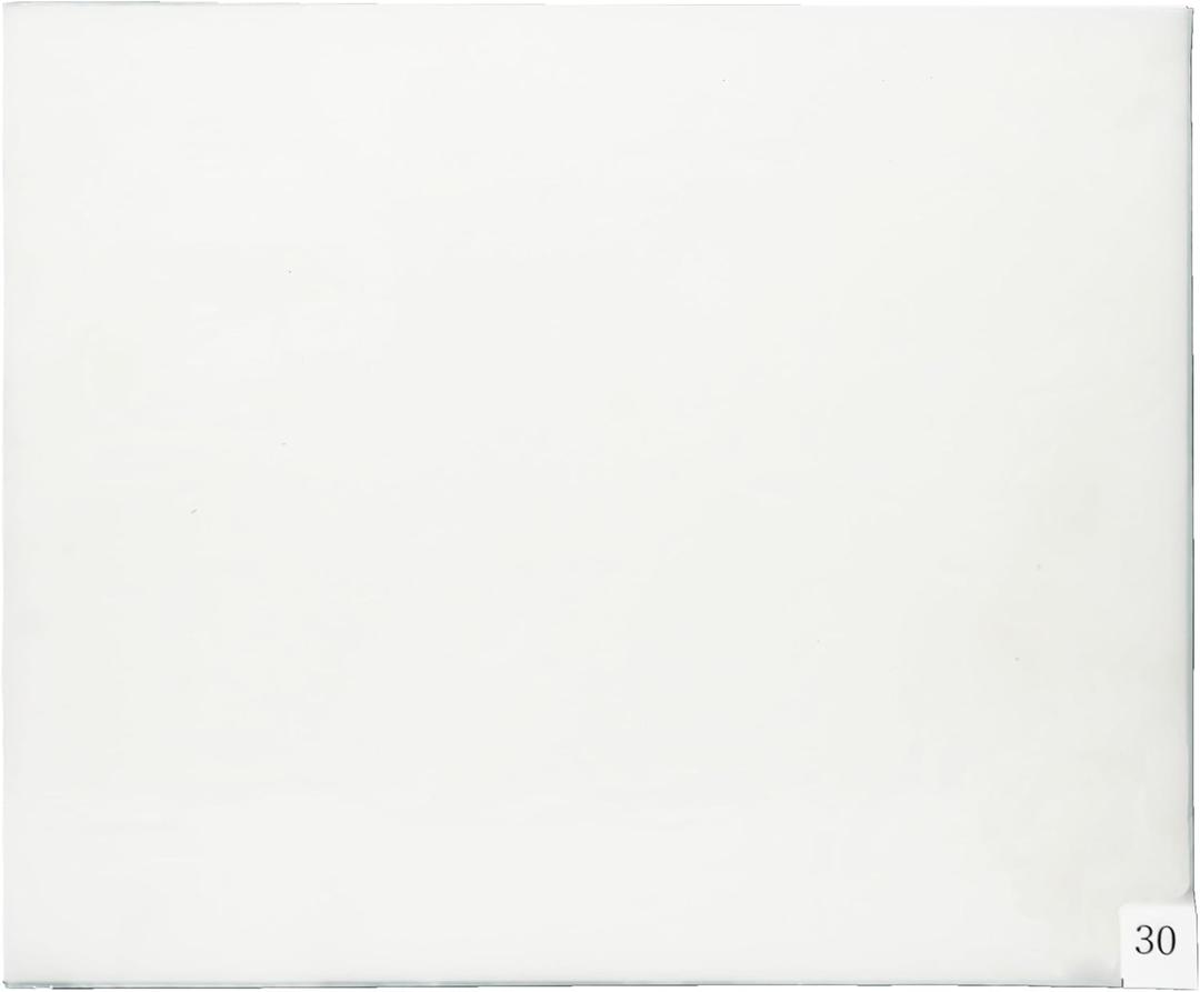 Murray Sporting Goods Courtside Premium Basketball Sticky Mat | Non-Slip Shoe Mat for Basketball Court Shoe Grip 19 in x 19 in | Replacement Sheets Don't Include Mat