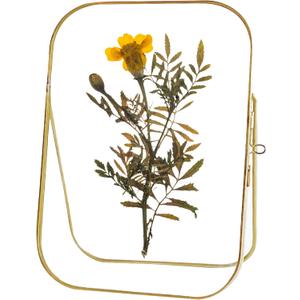 Gold Floating Picture Frames, With Corner Bracket Pressed Flowers Glass Picture Vertical Floating Photo Frametabletop Diy Display Frames For Family, Flowers Art, Wedding Dcor ( 5x7 Rounded Corners )